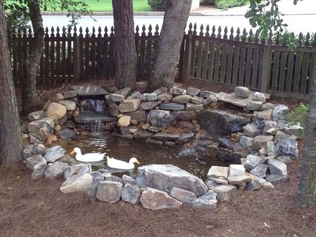 Dual Waterfall Backyard Oasis