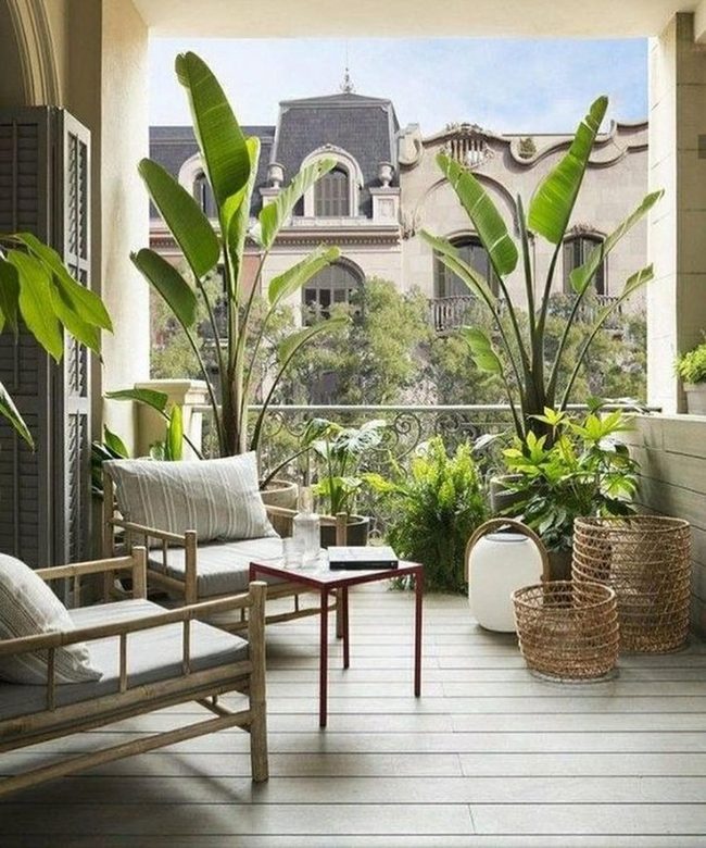 Small Balcony, Lush Green Oasis
