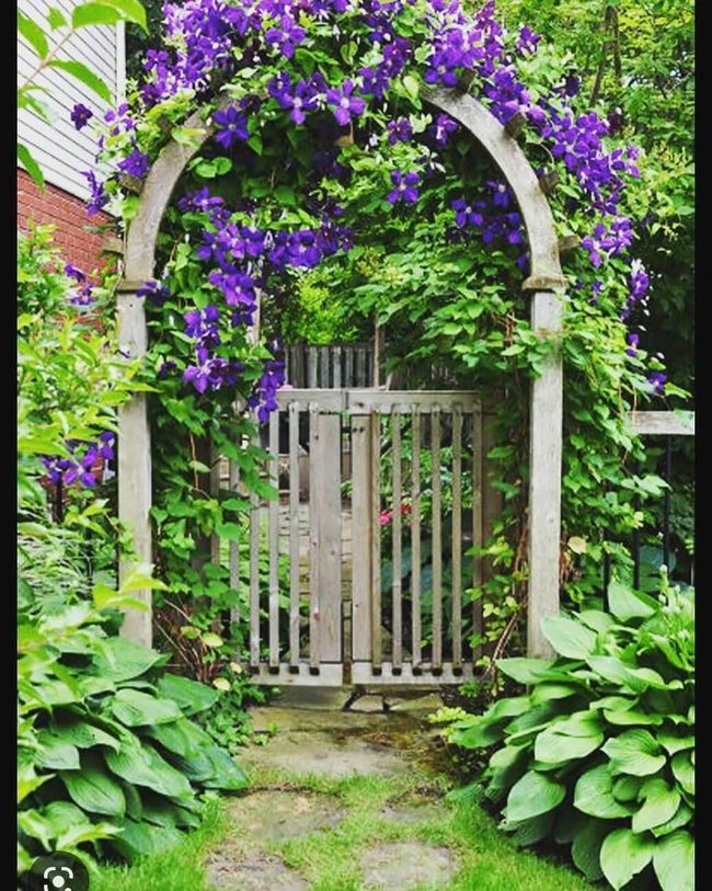Purple Flowers Frame Wooden Arch