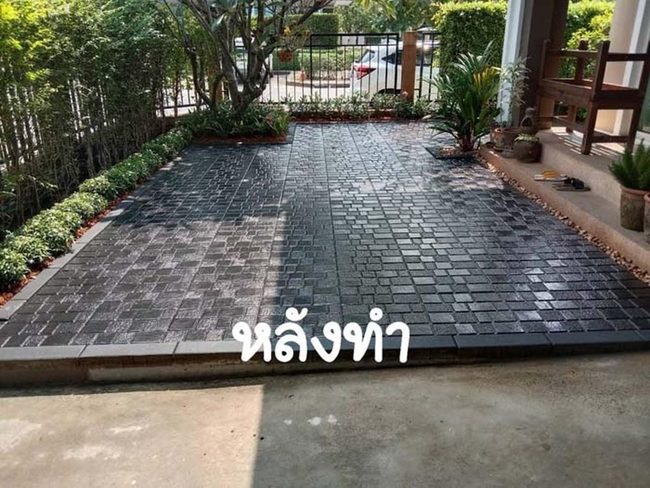 Stamped Cement Yard With Palms