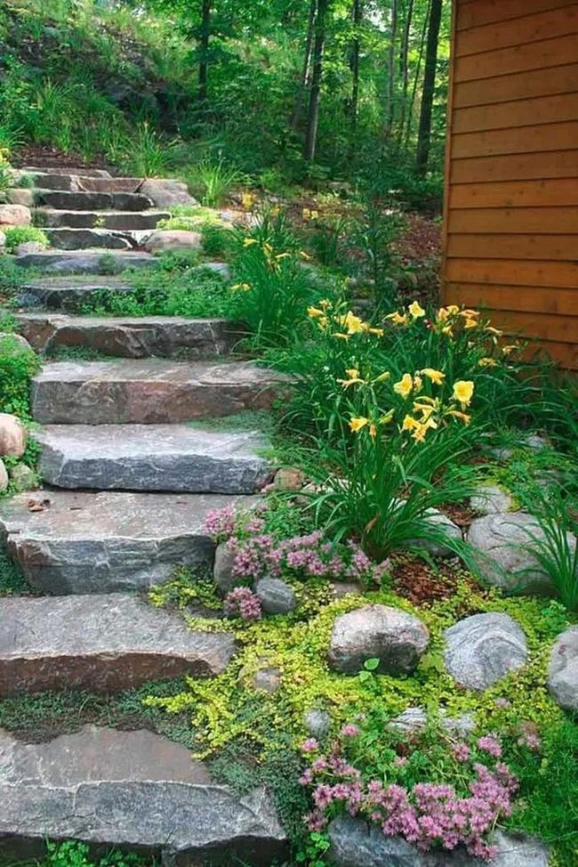 Yellow Flowers Stone Path Garden