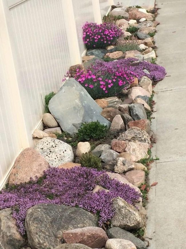 Purple Blooms Against Weathered Stone