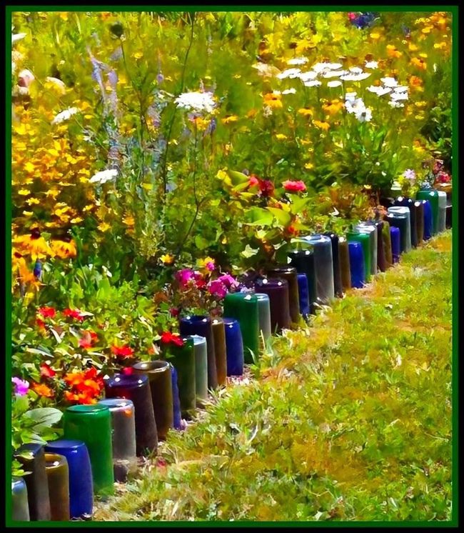 Dark Glass Bottles, Brilliant Blooms