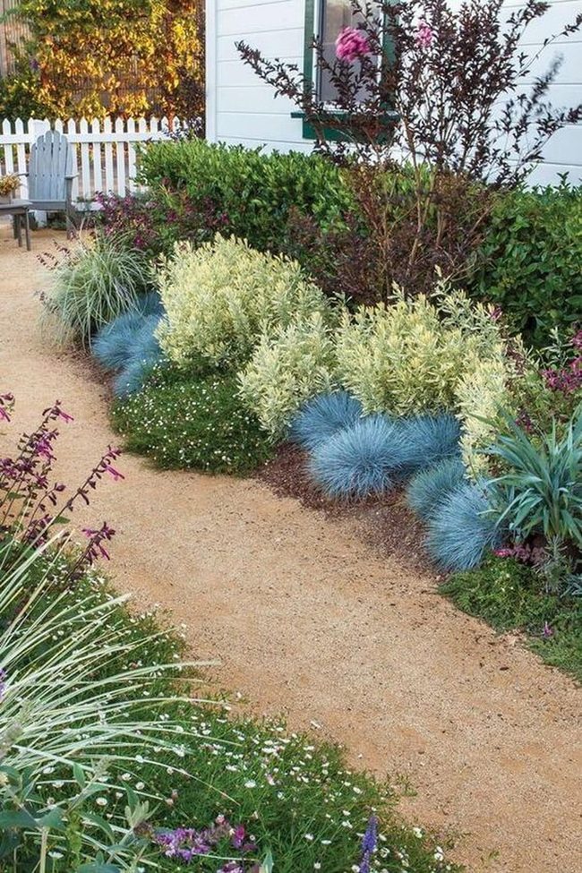 Silvery Grasses Through Blooming Green