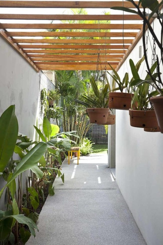 Wooden Beams And Hanging Green