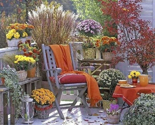Golden Grasses, Autumn Elegance