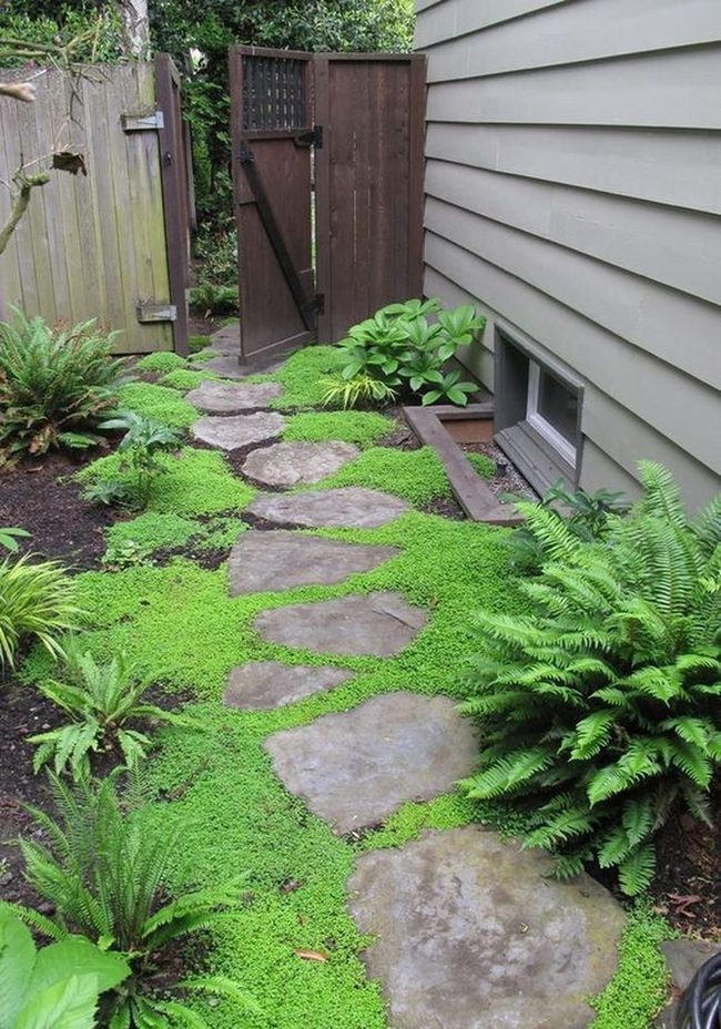 Stone Path Through Layered Green