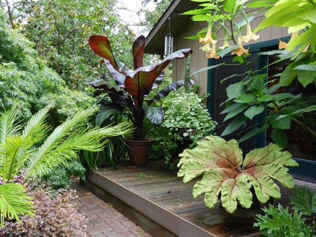 Emerald Jungle Layers Garden