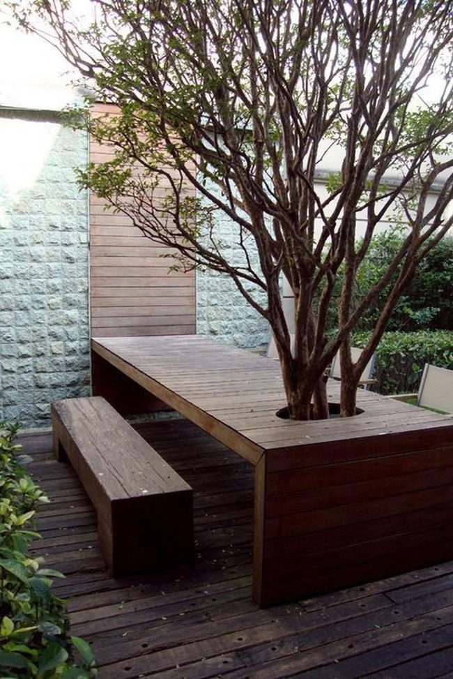 Wooden Deck Under Dappled Shade