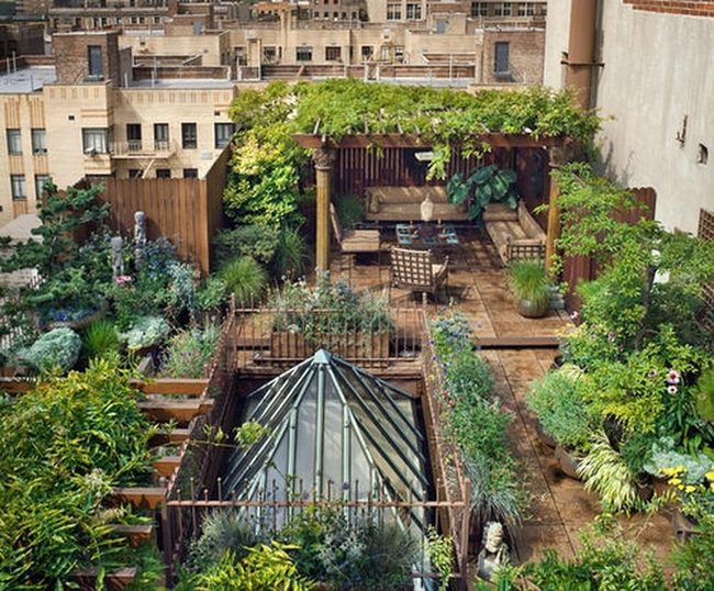 Rooftop Jungle Above The City