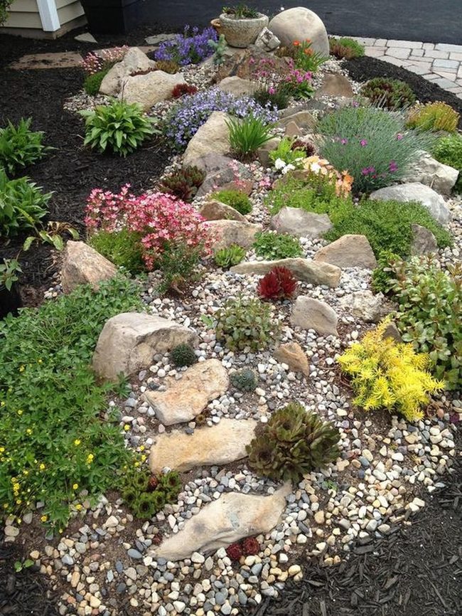 Multicolor Flowers With Stone Paths