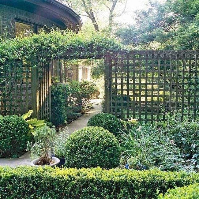 Stone Path Through Layered Green Garden