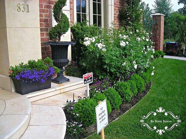 White Roses With Evergreen Shelter