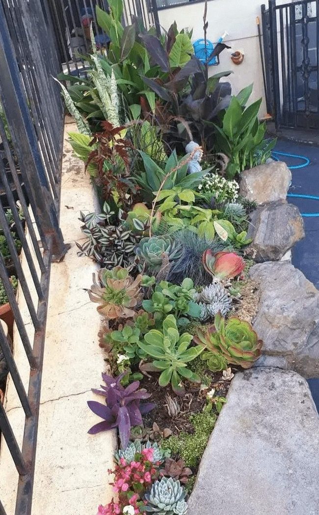 Purple And Pink Flower Garden Burst