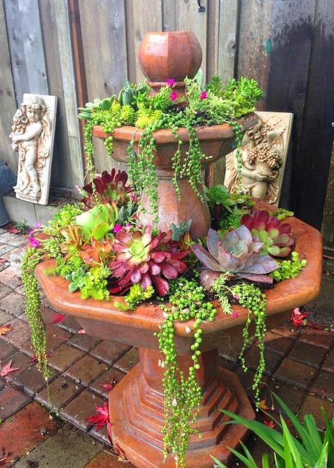 Terracotta Fountain Succulent Garden