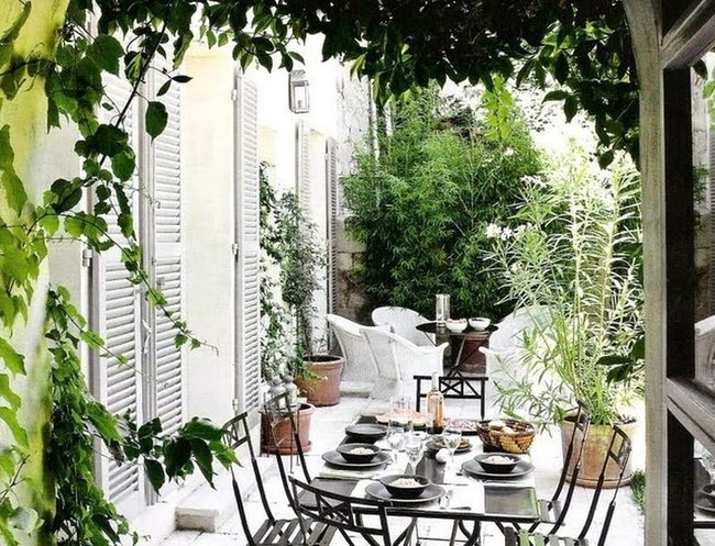 Crisp White Walls Meet Lush Green Plants