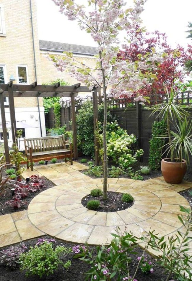 Central Tree Anchors Stone Courtyard