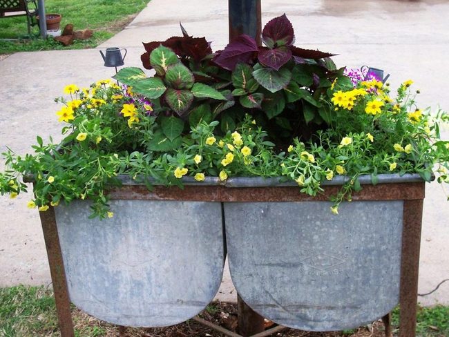Weathered Metal Trough With Cascading Blooms