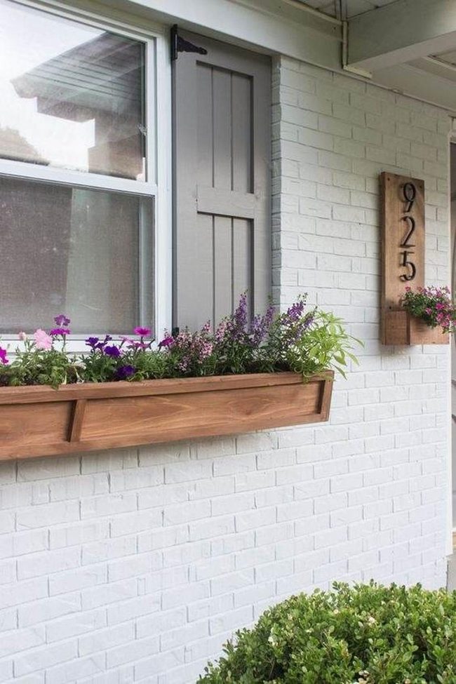 Colorful Blooms Frame Your Windows