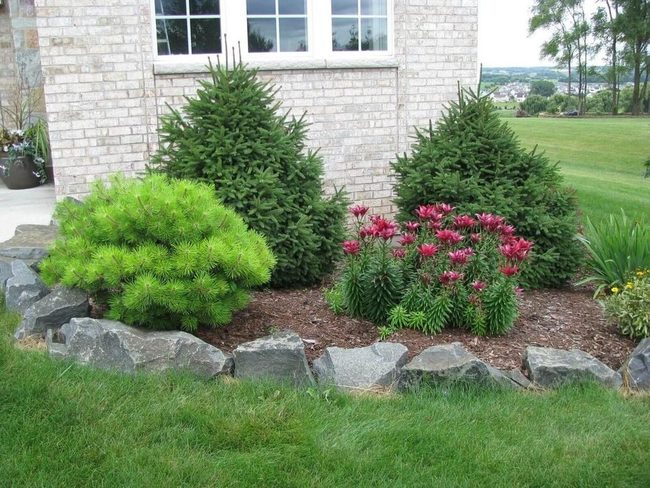 Stone Pathways Frame Garden Beds