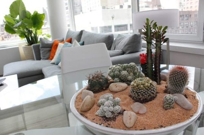 Desert Plants In Sand Tables