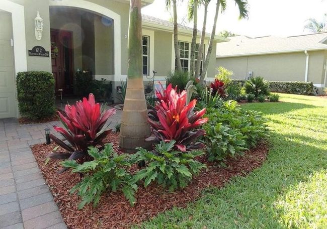 Colorful Mulch Frames Tree Beds
