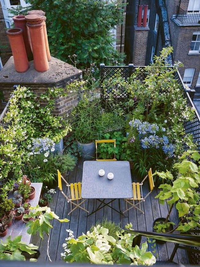 Dense Green Canopy Reclaims Concrete