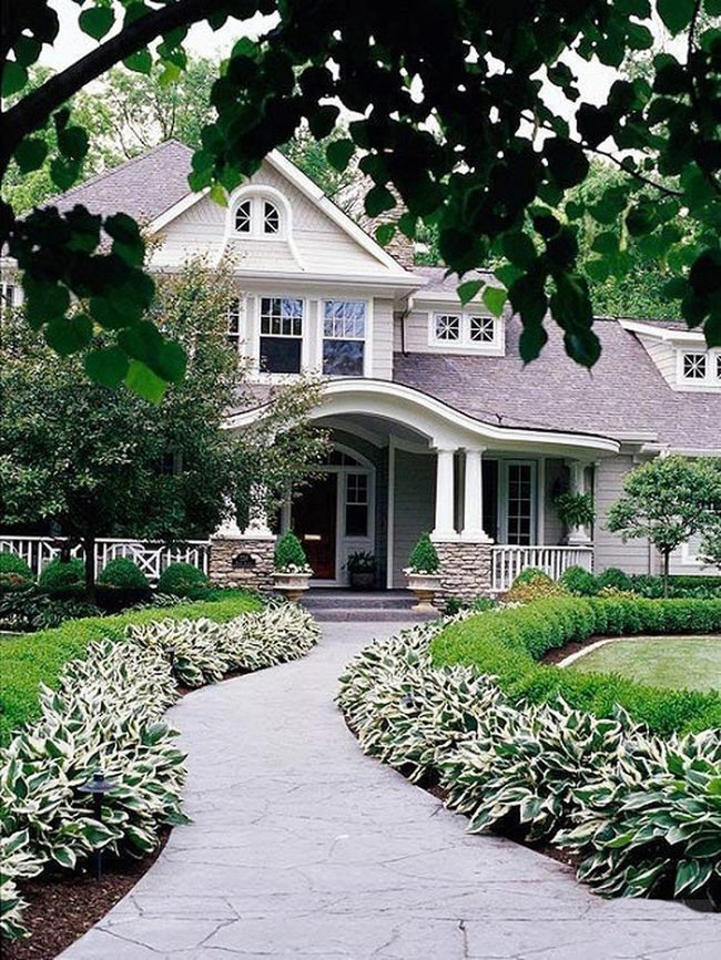 Cream And Green Striped Borders
