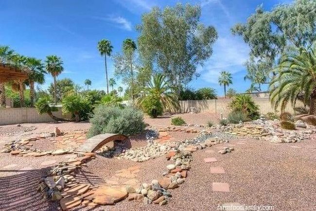 Stone Pathway Through Tropical Palms