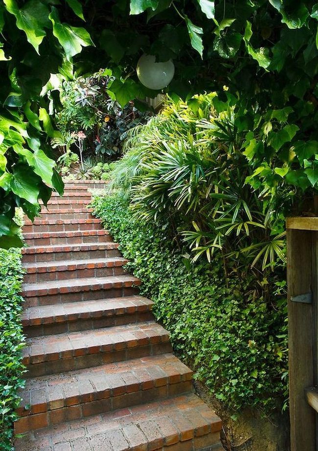 Red Brick Garden Stairway Through Green