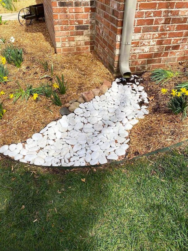 White Stones With Spring Yellow Daffodils