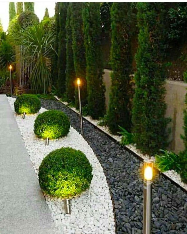 Rounded Shrubs With Uplighting And White Pebbles