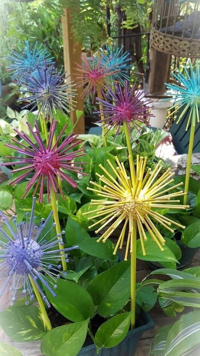 Blooming Art Among Green Foliage
