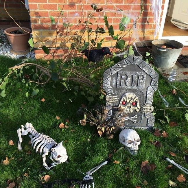 Skeleton And Pet Bone Buddy