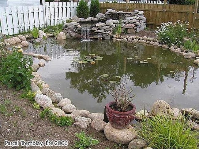 Backyard Duck Pond Water Feature