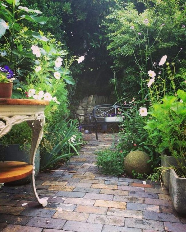 Lush Green Micro Botanical Retreat