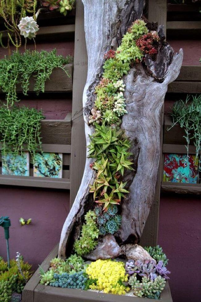 Hanging Succulents Transform Bare Porches