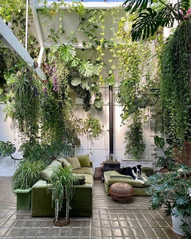 Orchids, Ferns, And Layered Greens