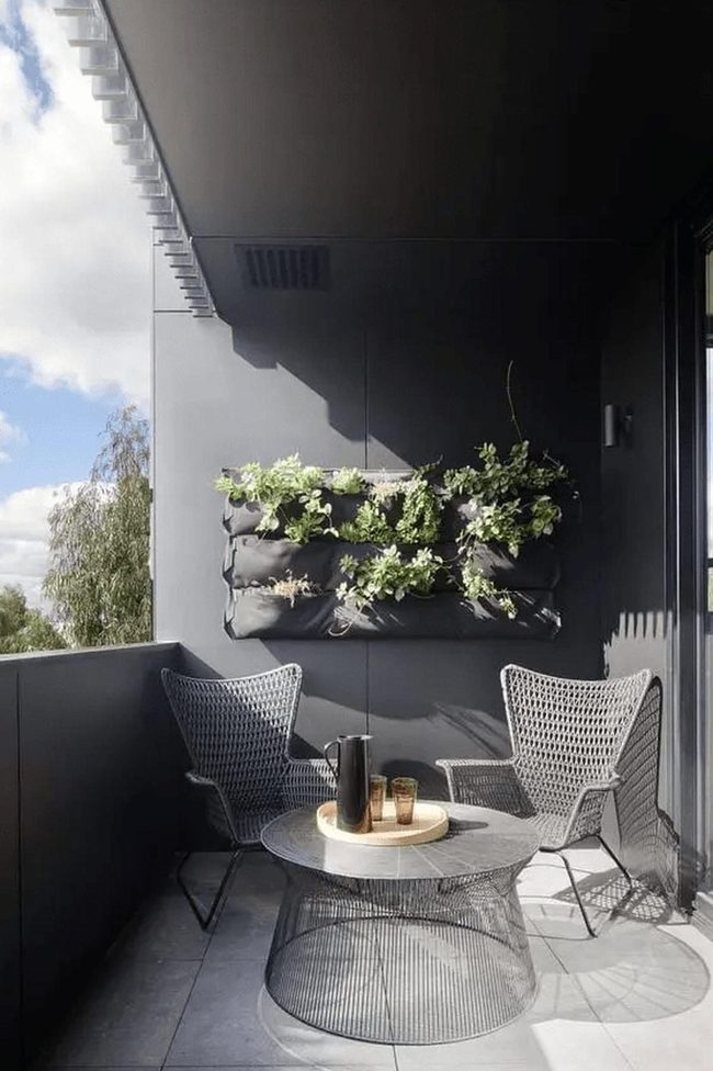Sunlit City Balcony With Green Plants