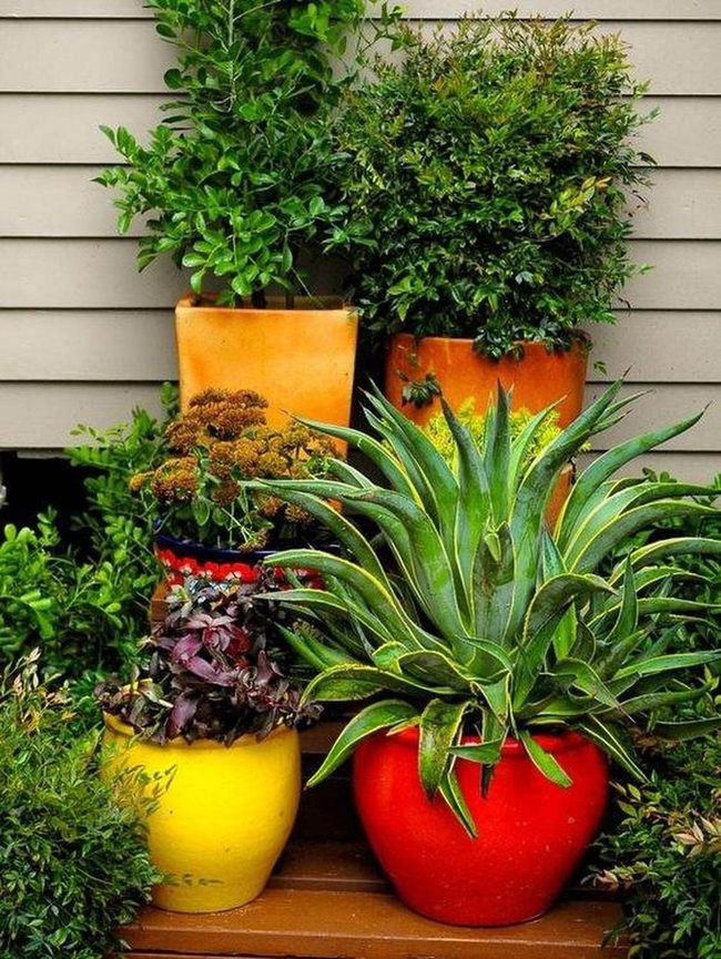 Stacked Pots, Living Color Tower