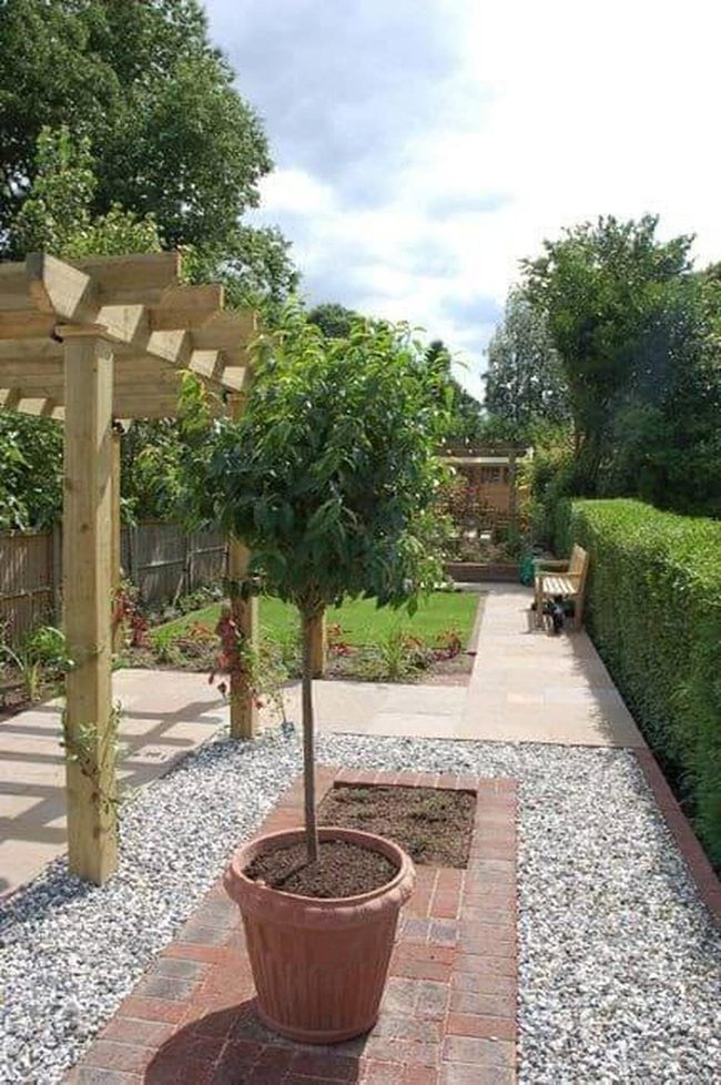 Centered Tree Garden With Shaded Pergola