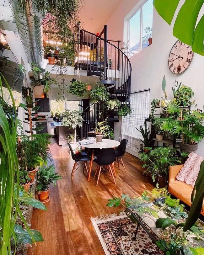 Green Plants Transform Indoor Spaces
