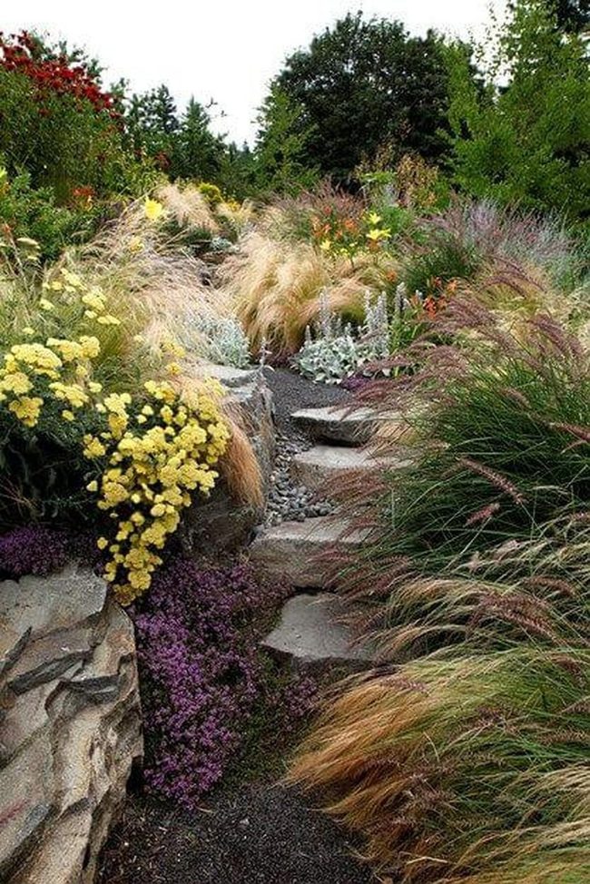 Stone-Framed Wildflower Path