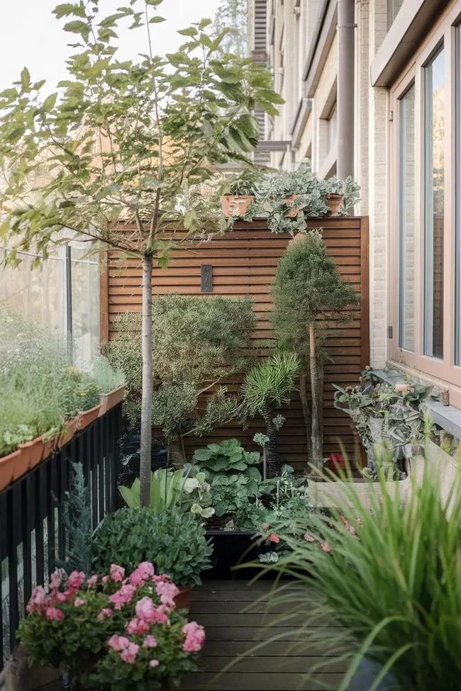 Bamboo Screens Block Neighboring Views