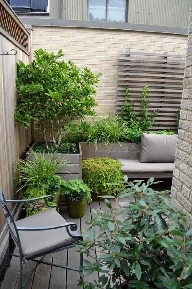 Green Plant Walls And Firelit Evenings