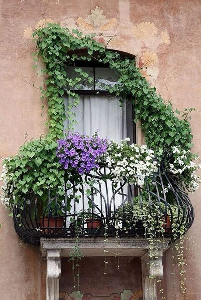 Cascading Vines, Maximum Green