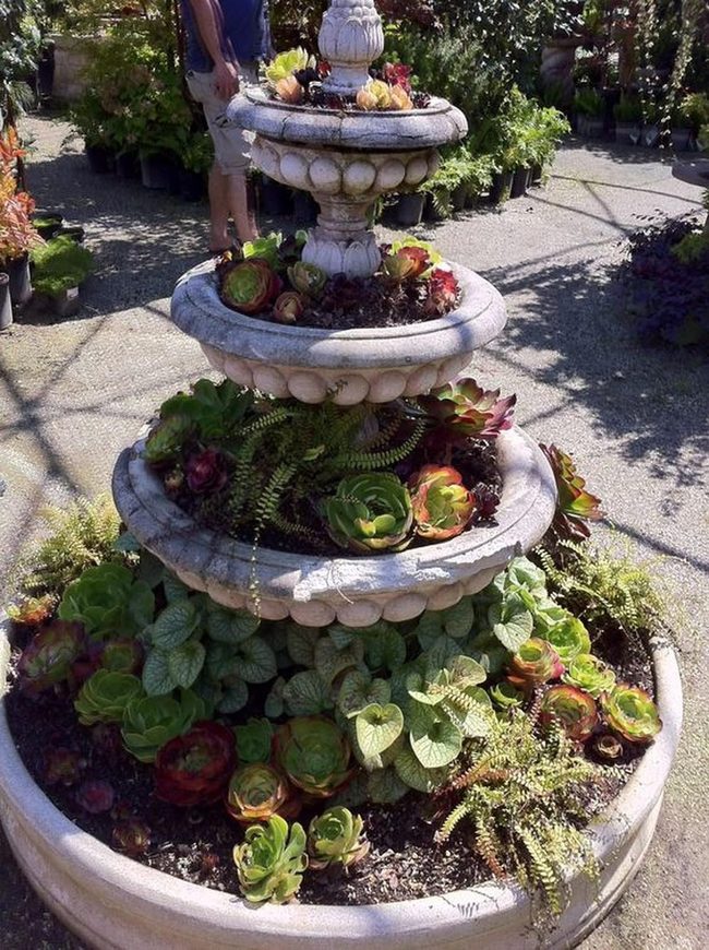 Cascading Succulents Stone Garden