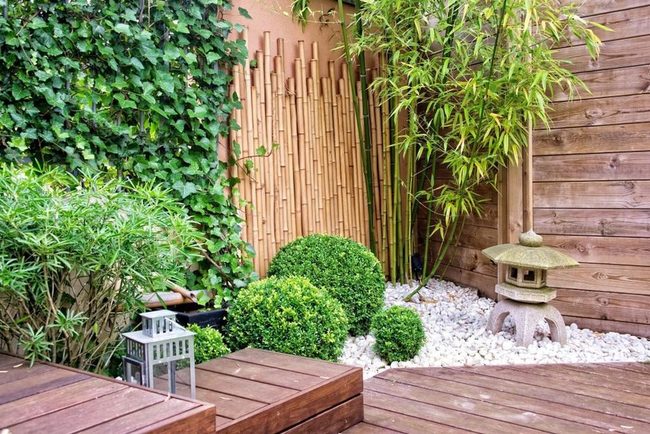 Tall Bamboo Privacy Screen
