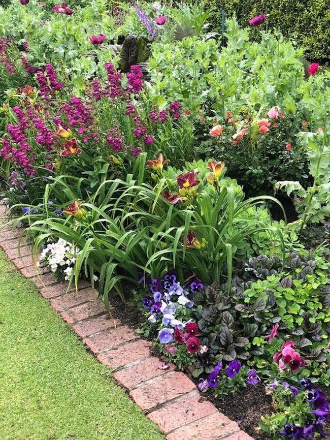 Purple And Pink Flower Abundance