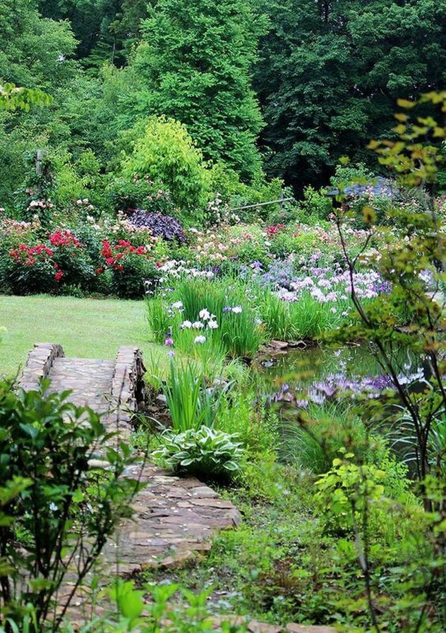Blooming Pathways Through Layered Greens